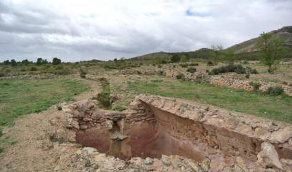 Venta - Land - Yecla