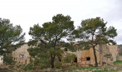 Venta - Land - Yecla