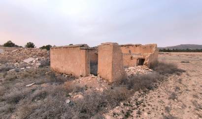 Venta - Land - Yecla