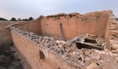 Venta - Land - Yecla