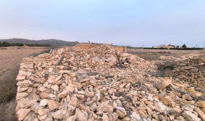 Venta - Land - Yecla