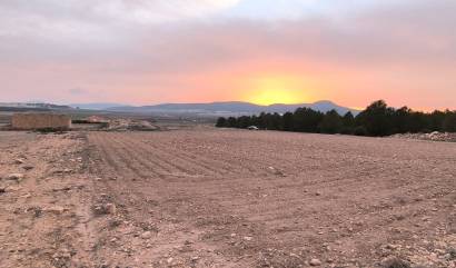 Venta - Land - Yecla