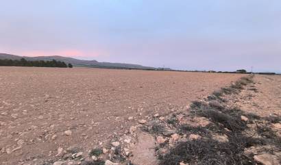 Venta - Land - Yecla