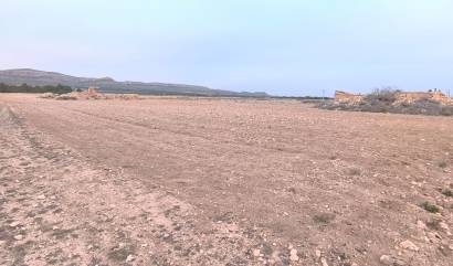 Venta - Land - Yecla