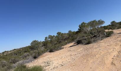 Venta -  - San Fulgencio - La Marina