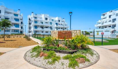 Venta -  - Torre Pacheco - Santa Rosalía