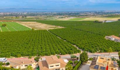 Venta - Villa - Algorfa - Castillo De Montemar