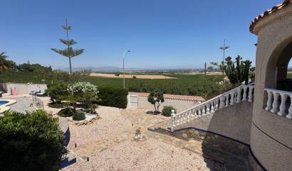 Venta - Villa - Algorfa - Lomas De La Juliana