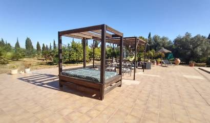 Venta - Villa - Avileses