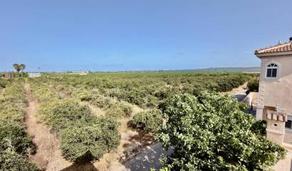 Venta - Villa - Ciudad Quesada - Doña Pepa