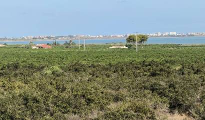 Venta - Villa - Ciudad Quesada - Doña Pepa
