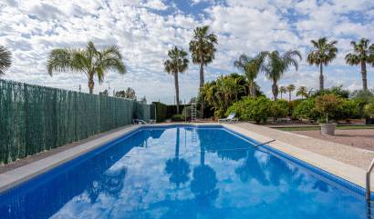 Venta - Villa - Elche - La Hoya