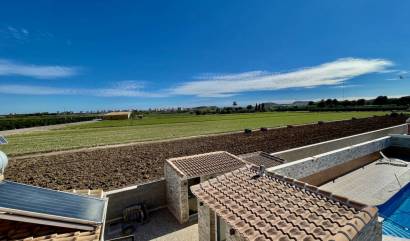 Venta - Villa - Guardamar del Segura