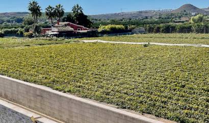 Venta - Villa - Guardamar del Segura