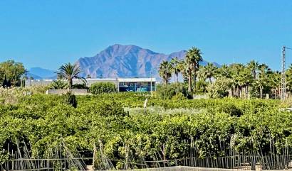 Venta - Villa - Guardamar del Segura