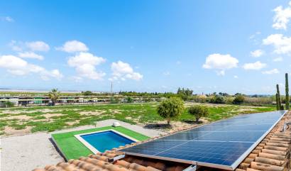 Venta - Villa - Los Montesinos