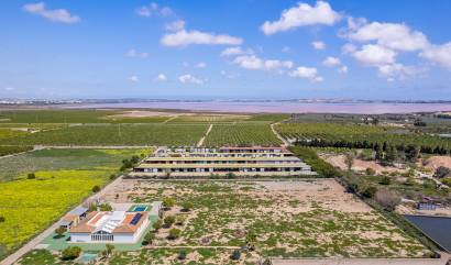 Venta - Villa - Los Montesinos