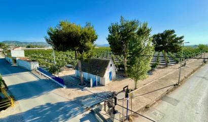 Venta - Villa - Orihuela