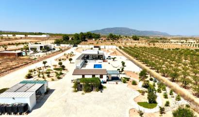 Venta - Villa - Pinoso