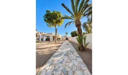 Venta - Villa - Torrevieja - Aguas Nuevas