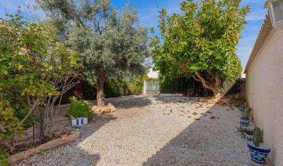 Venta - Villa - Torrevieja - El chaparral