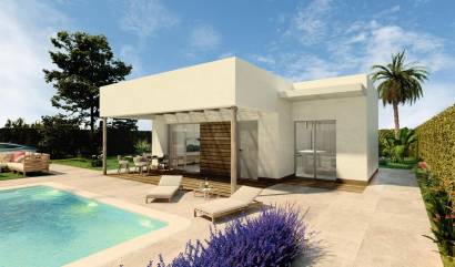 Villa - Nouvelle construction - Hondón de las Nieves - APRD-39009