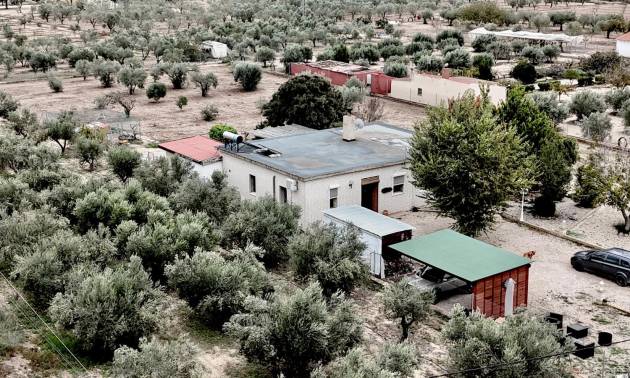 Villa - Sale - Salinas - Salinas