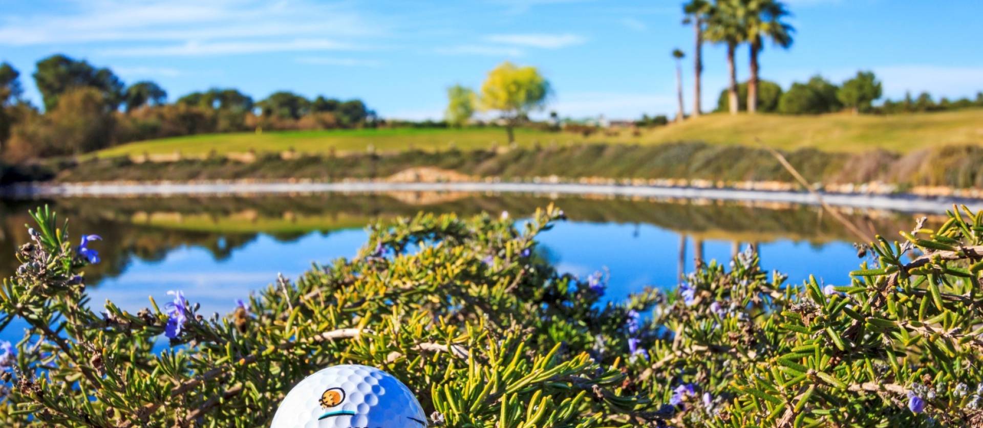 Nueva construcción  - Villa - Lo Romero Golf