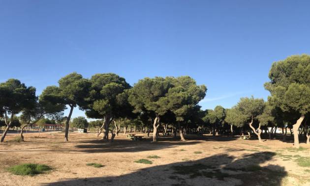 Nieuwbouw projecten - Appartment - Santiago De La Ribera