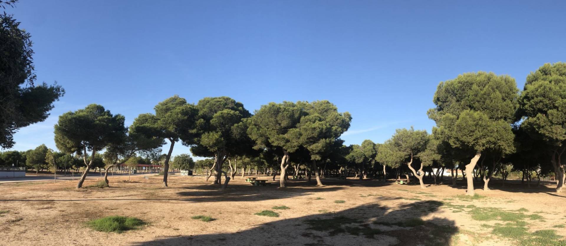 Nieuwbouw projecten - Appartment - Santiago De La Ribera