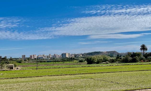 Venta - Villa - Guardamar del Segura