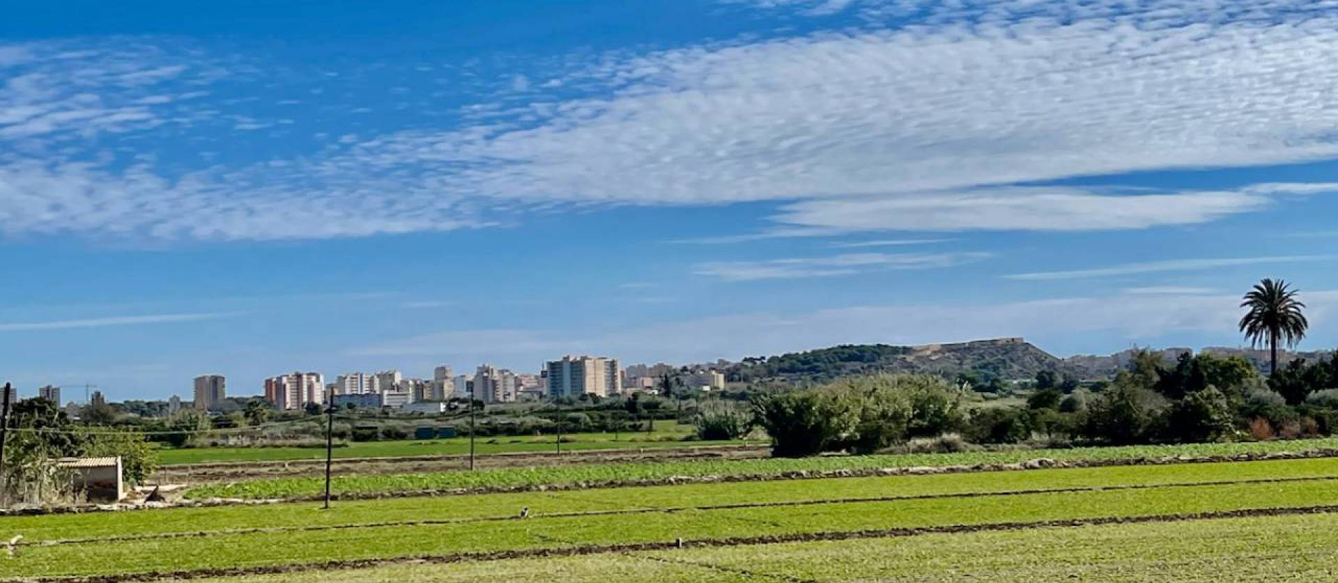 Venta - Villa - Guardamar del Segura