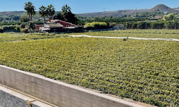 Venta - Villa - Guardamar del Segura