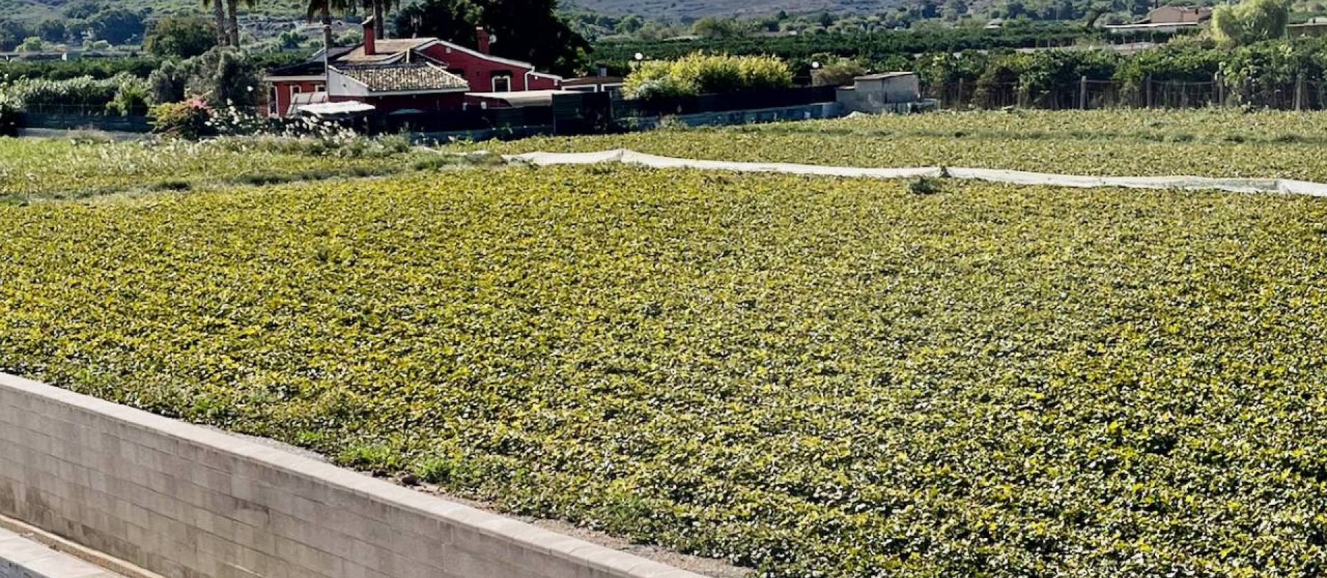 Venta - Villa - Guardamar del Segura