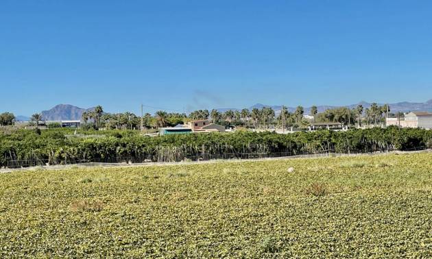 Venta - Villa - Guardamar del Segura