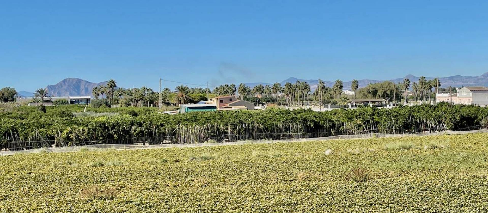 Venta - Villa - Guardamar del Segura