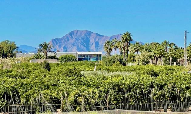 Venta - Villa - Guardamar del Segura