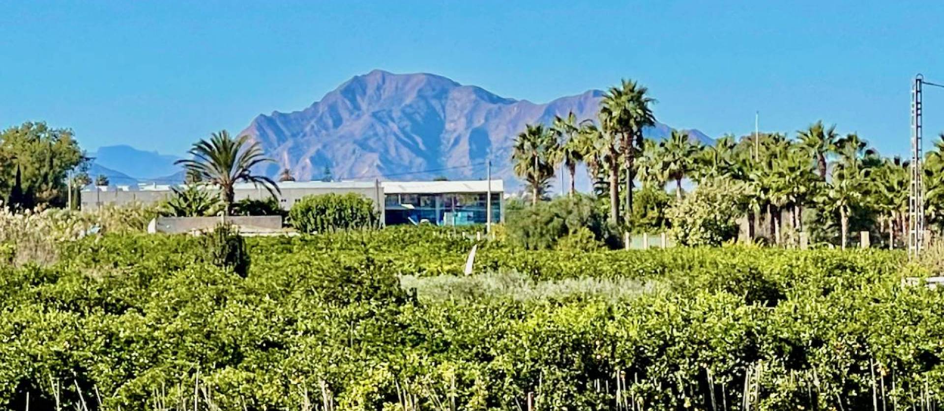 Venta - Villa - Guardamar del Segura