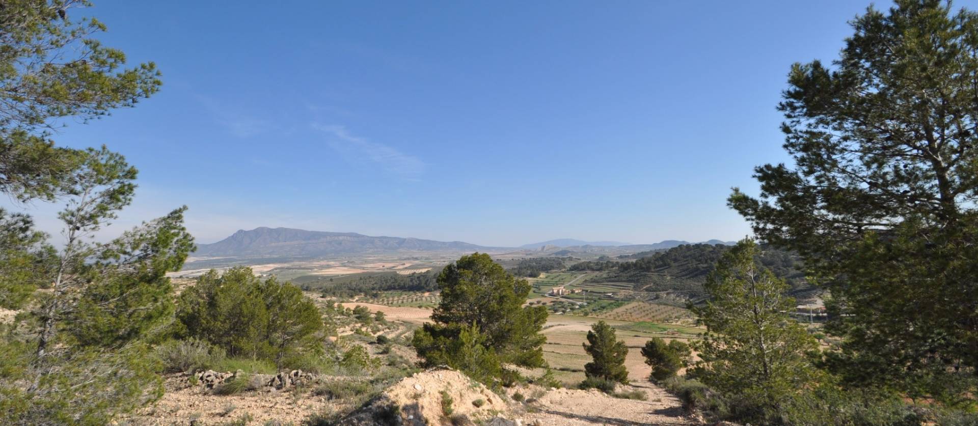 Sale - Land - La Zarza