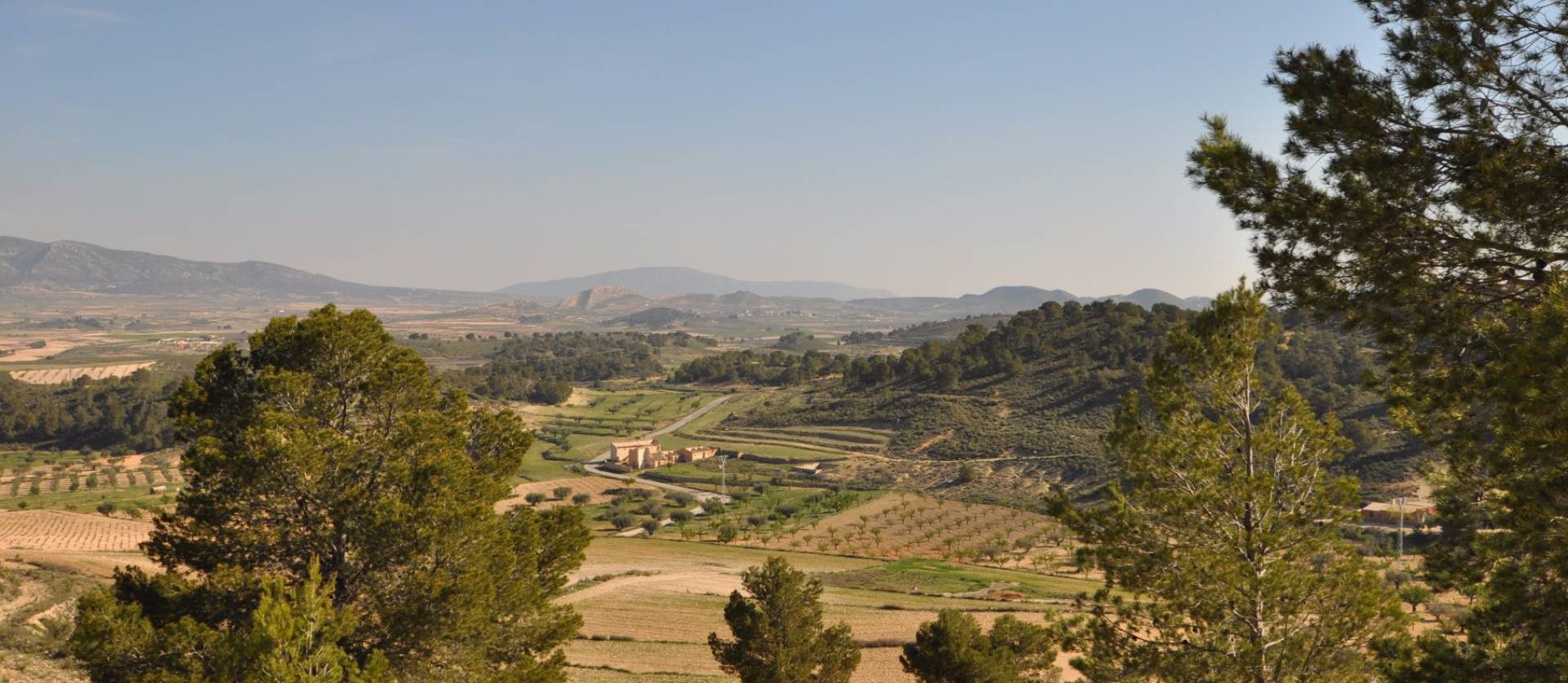 Sale - Land - La Zarza