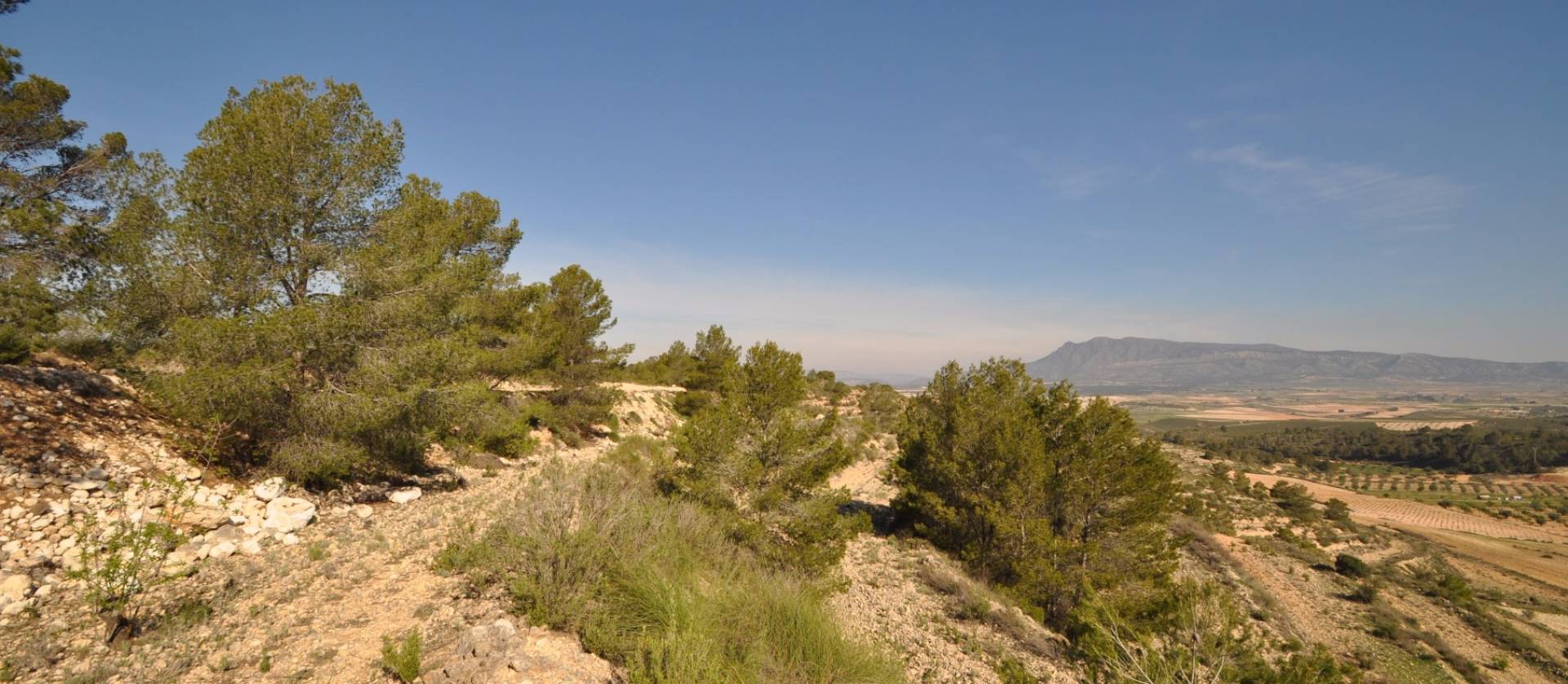 Sale - Land - La Zarza