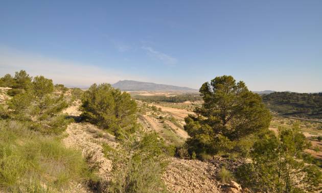 Sale - Land - La Zarza