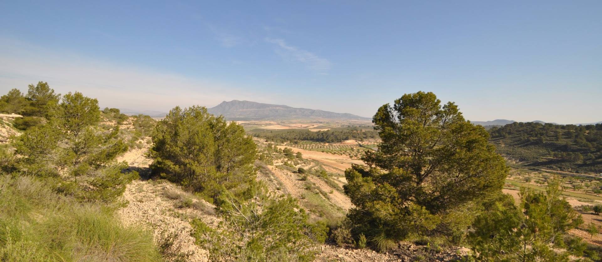 Sale - Land - La Zarza