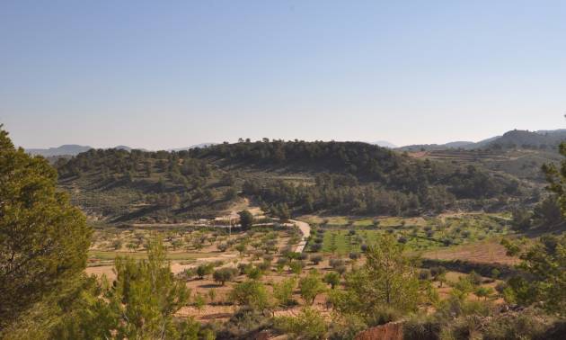 Sale - Land - La Zarza