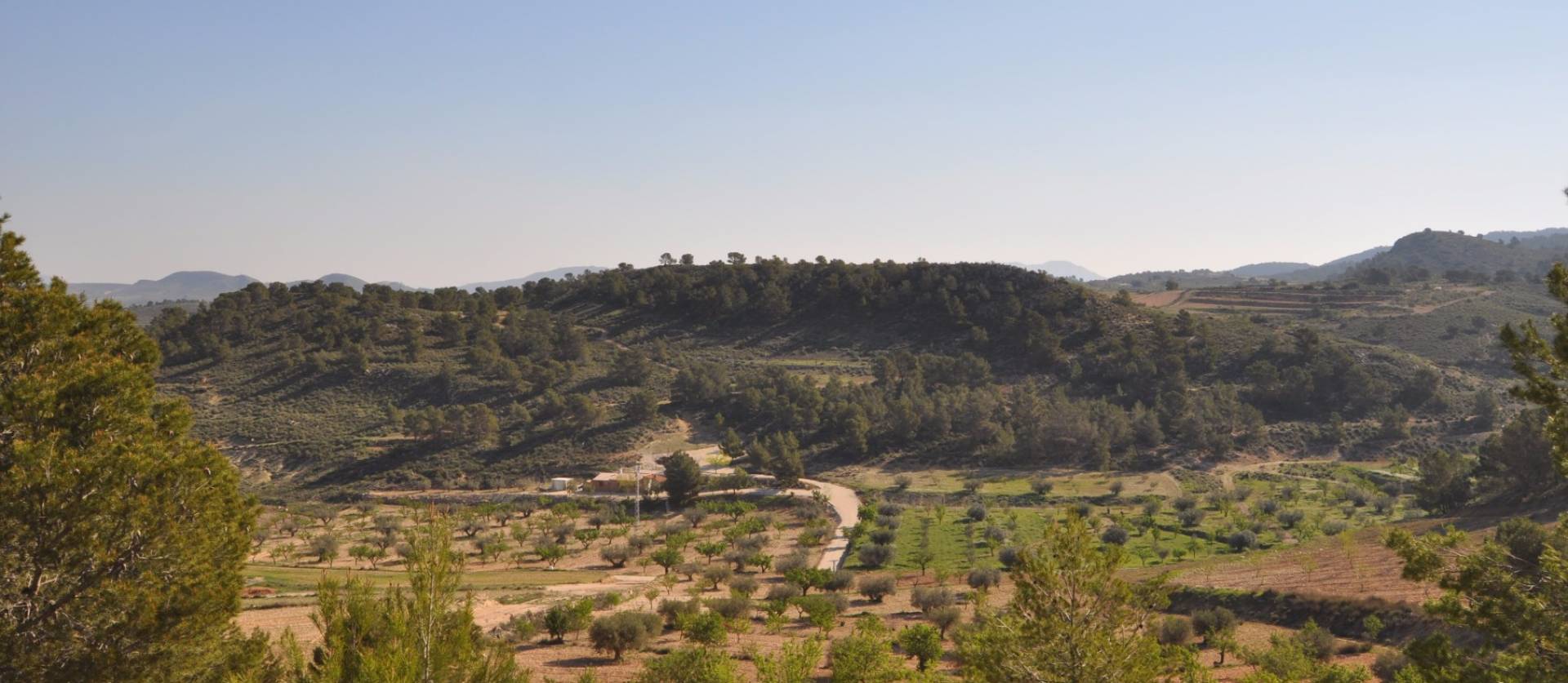 Sale - Land - La Zarza