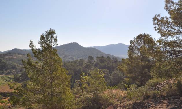 Sale - Land - La Zarza