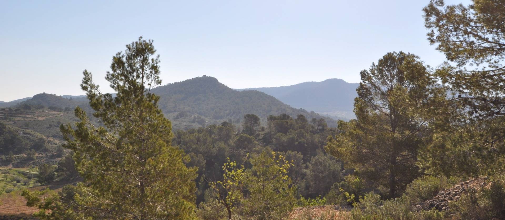 Sale - Land - La Zarza