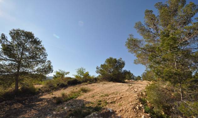 Sale - Land - La Zarza