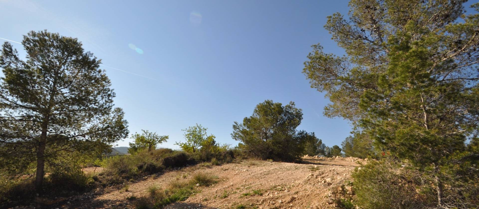 Sale - Land - La Zarza