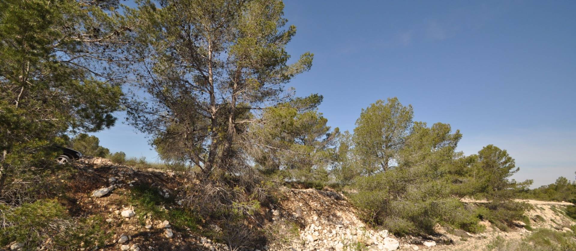 Sale - Land - La Zarza